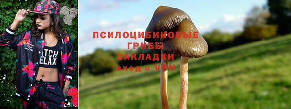 гидропоника Балахна