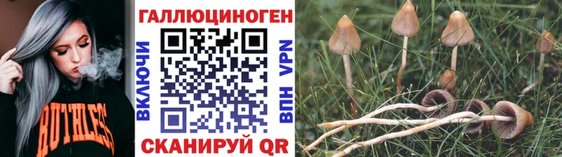 hydra ONION  Лесозаводск  Галлюциногенные грибы Magic Shrooms 
