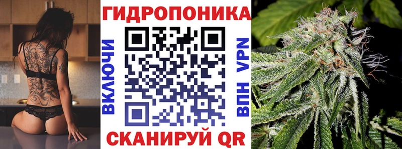 где продают наркотики hydra зеркало Шишки марихуана LSD WEED Лесозаводск